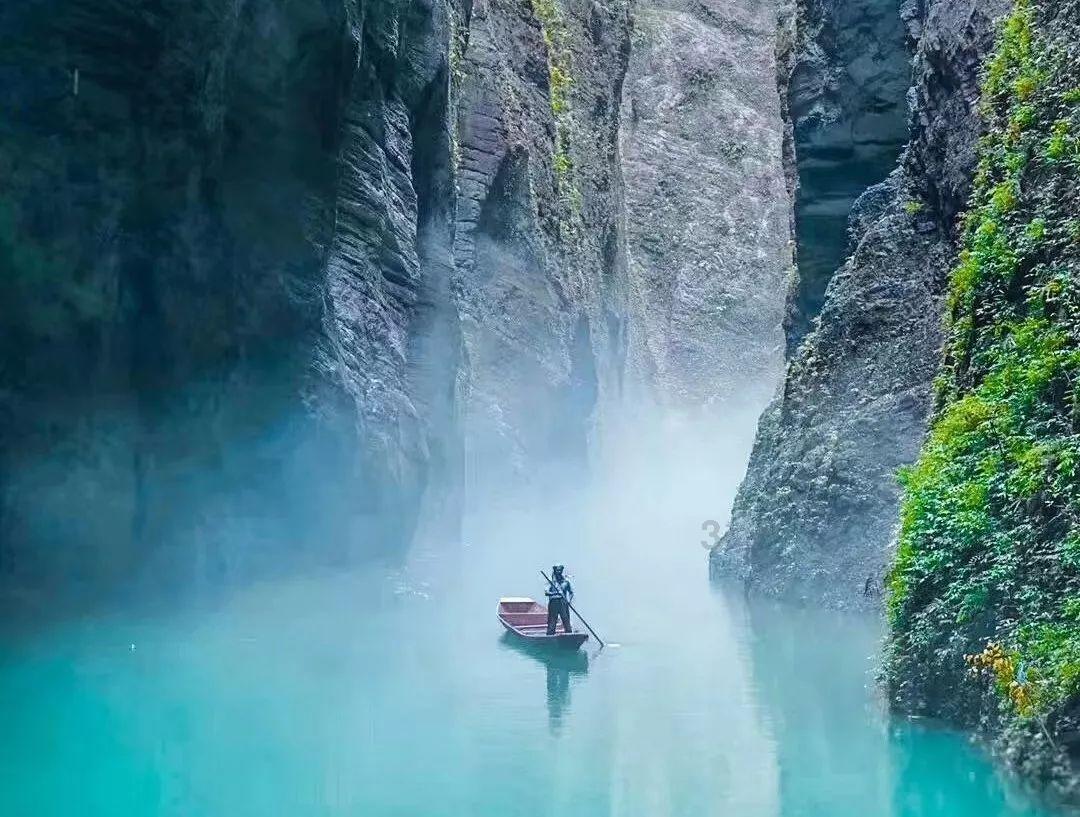 解救金刚鹦鹉